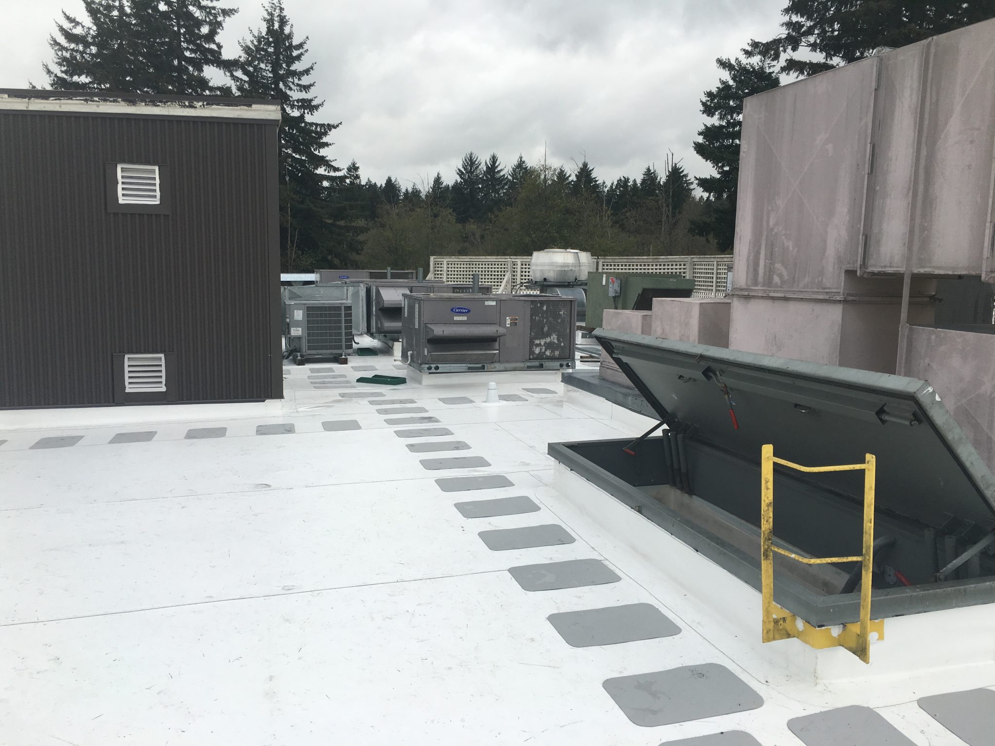 Mill Creek Commercial Flat Roof Pinnacle Roofing Professionals