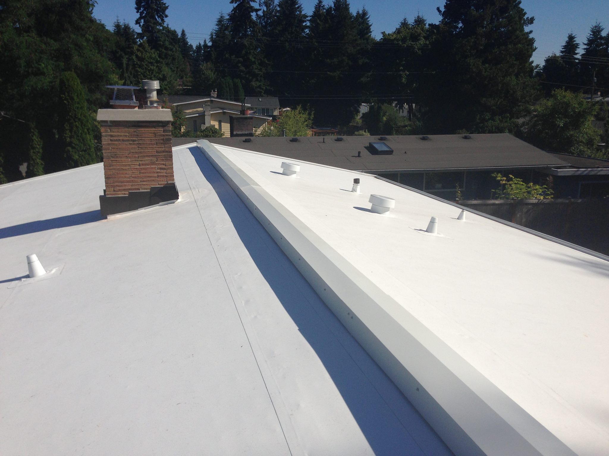 edmonds- low-slope-pvc-roof