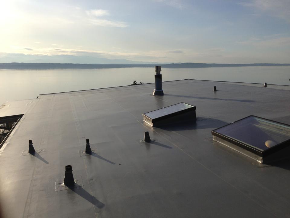 shoreline Pvc roof