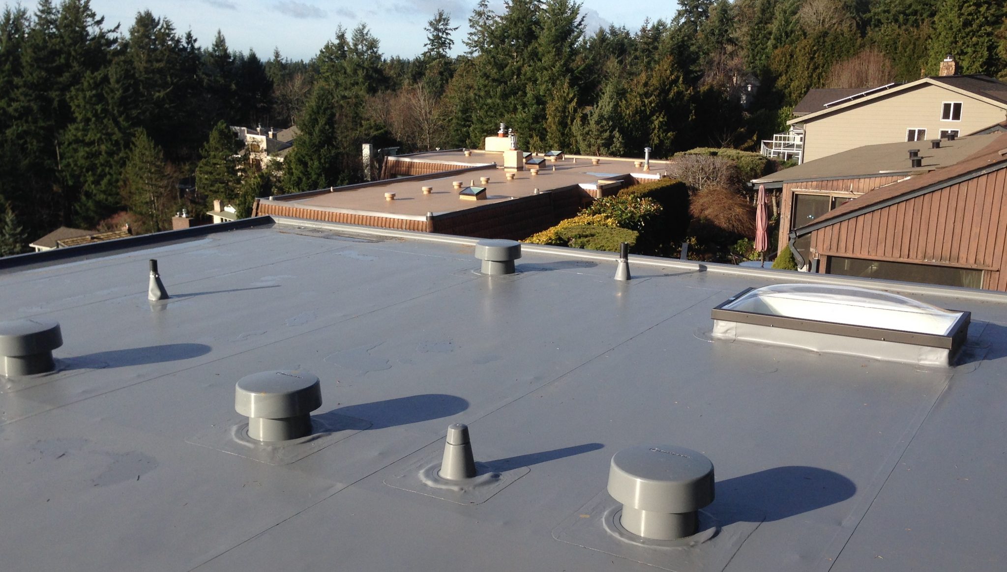 shoreline_Flat_roof