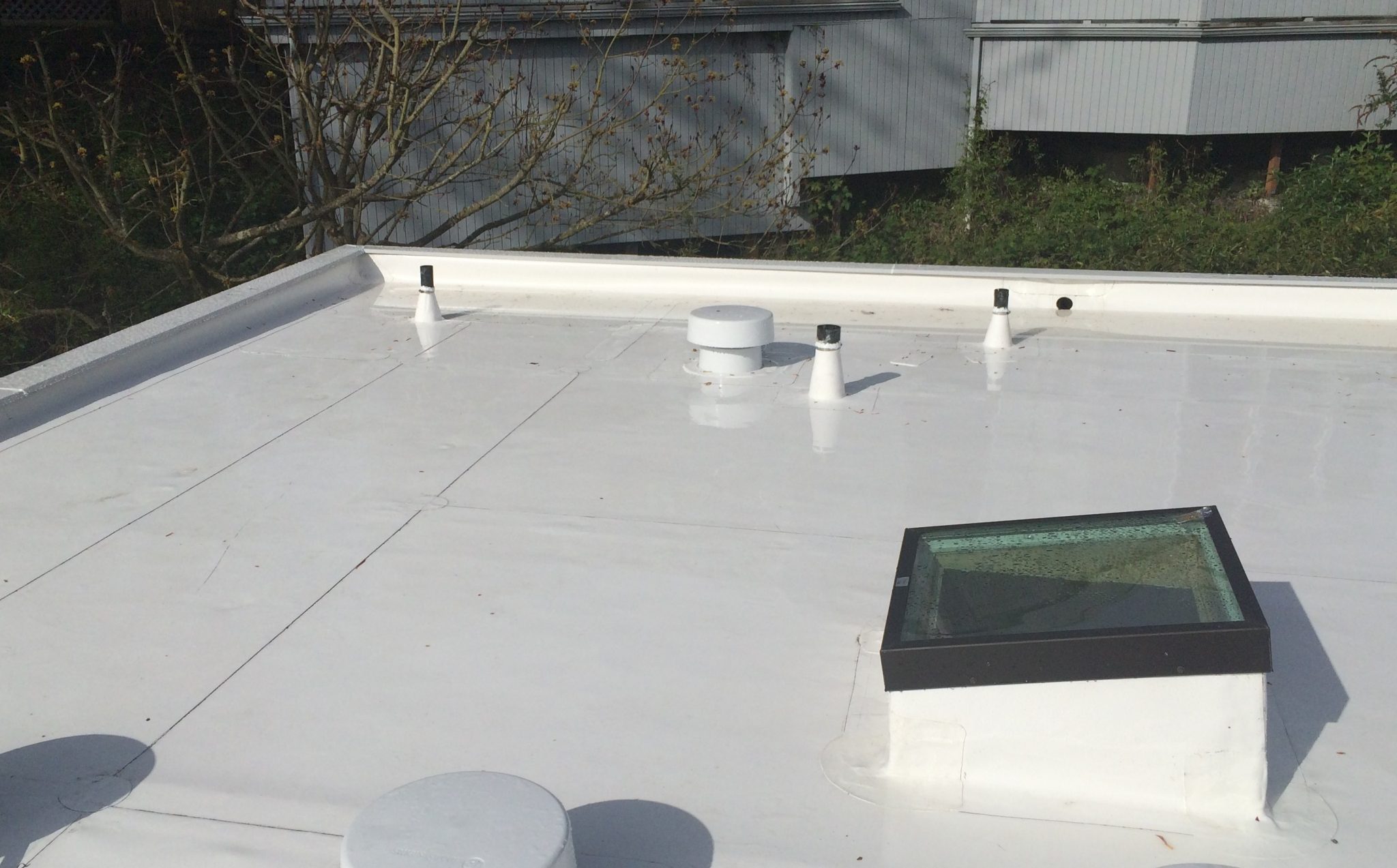 seattle pvc flat roof