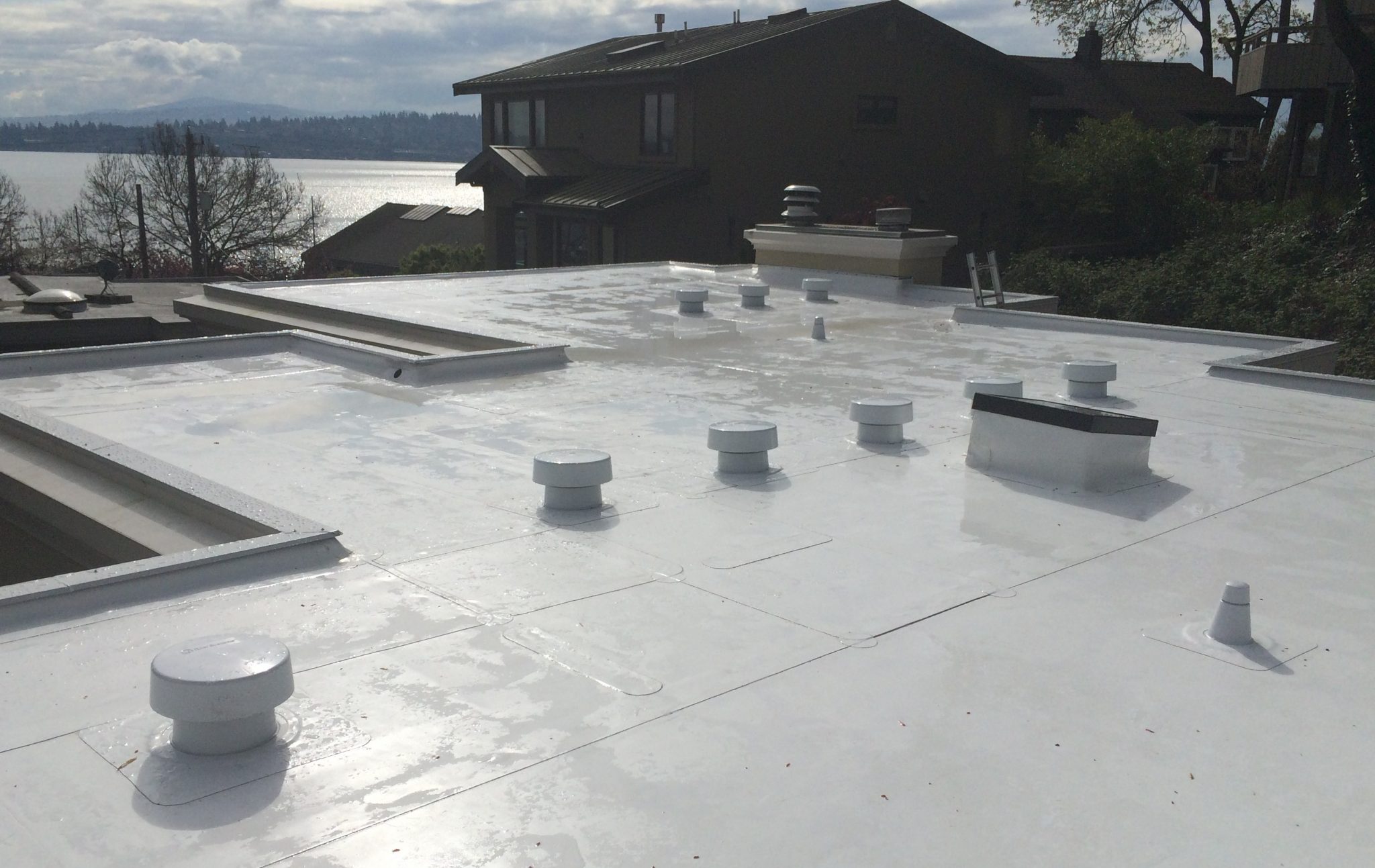 seattle pvc flat roof