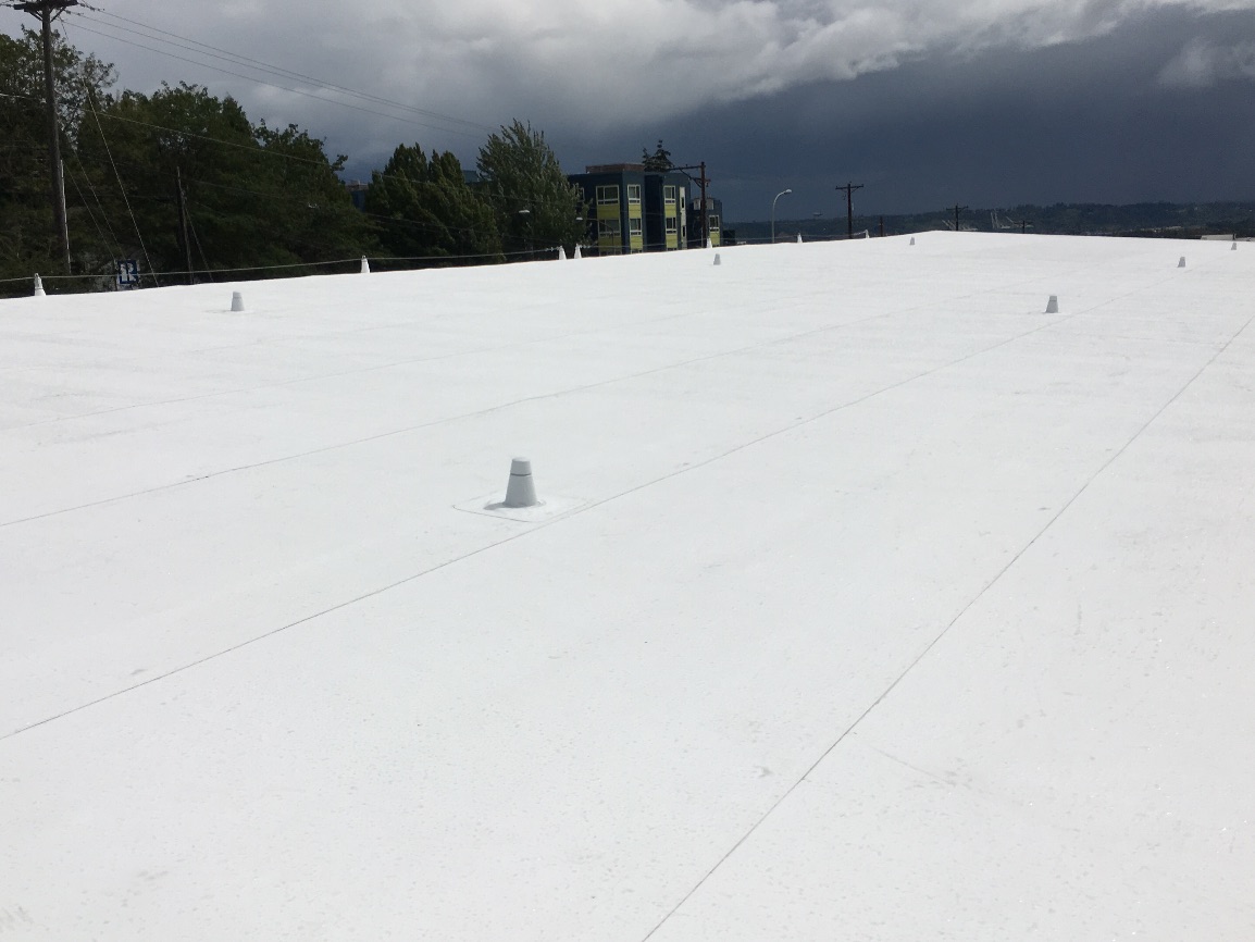 commercial pvc roof