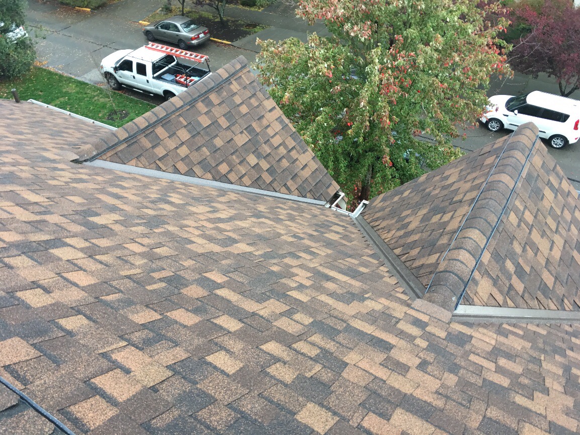 Seattle multi family roof